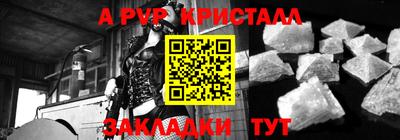 СК Гатчина