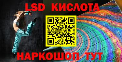 СК Гатчина