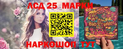 СК Гатчина