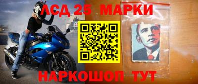 СК Гатчина