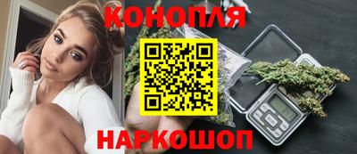 СК Гатчина