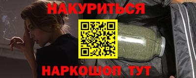 СК Гатчина