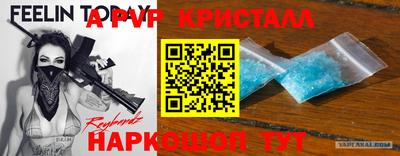 СК Гатчина
