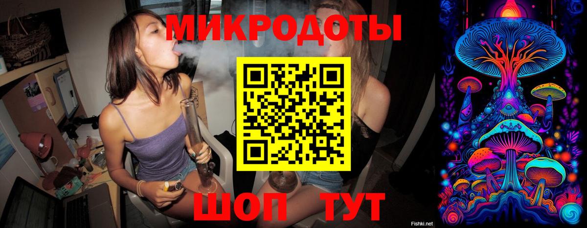Москва  Галлюциногенные грибы Psilocybine cubensis  Вход с VPN 